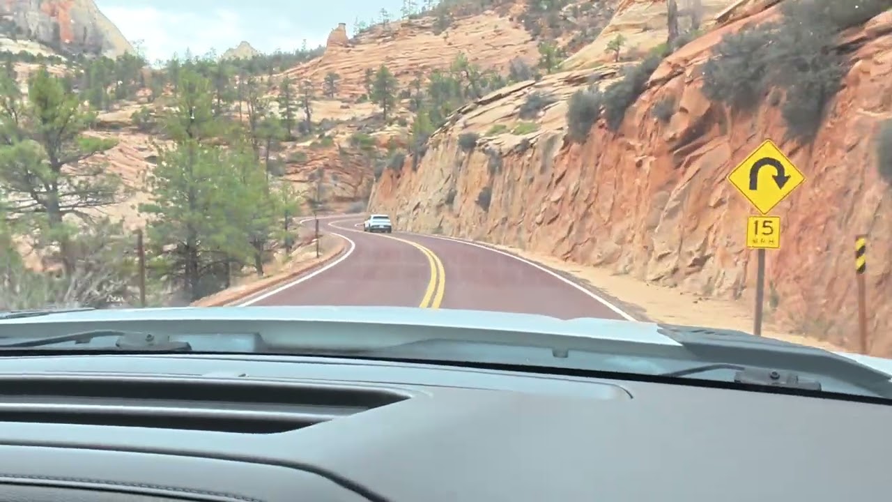 PASAMOS POR EL ZION PARK 🌲🐐