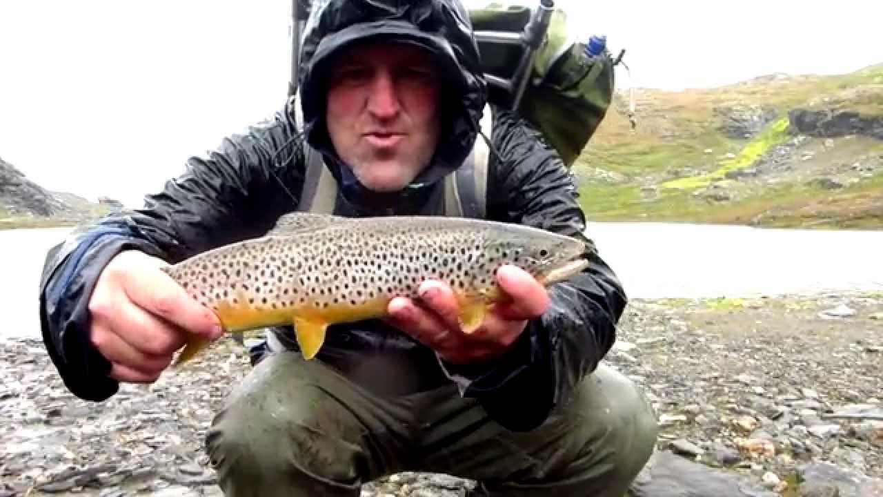 Per , Pål og Espen på fisketur