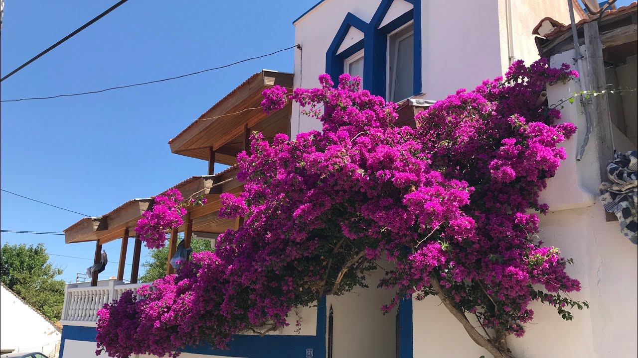 Yeniliman Karaburun-İzmir