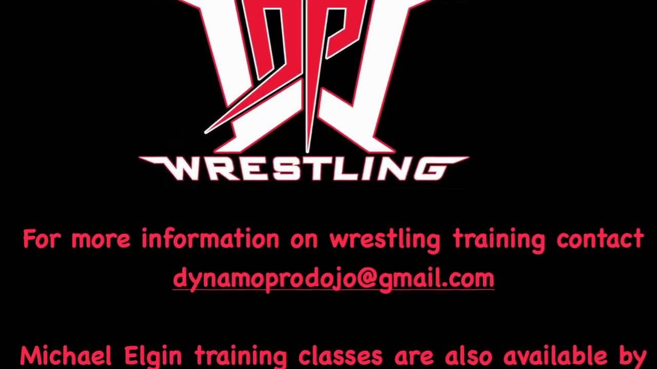 Pro Wrestling Training