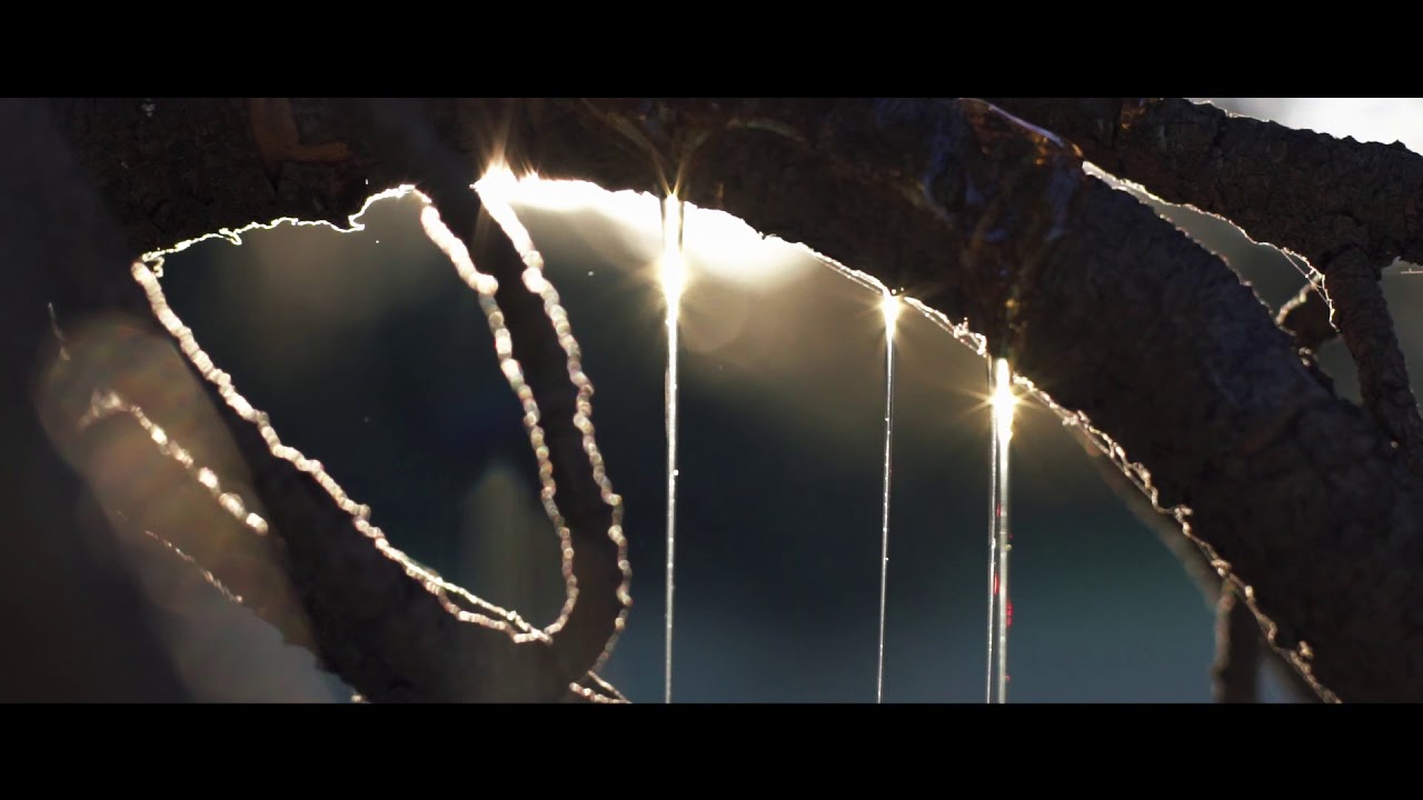 Jerome Blazé - Fade Into (feat. Ivy-Jane Browne) (Official Visual)