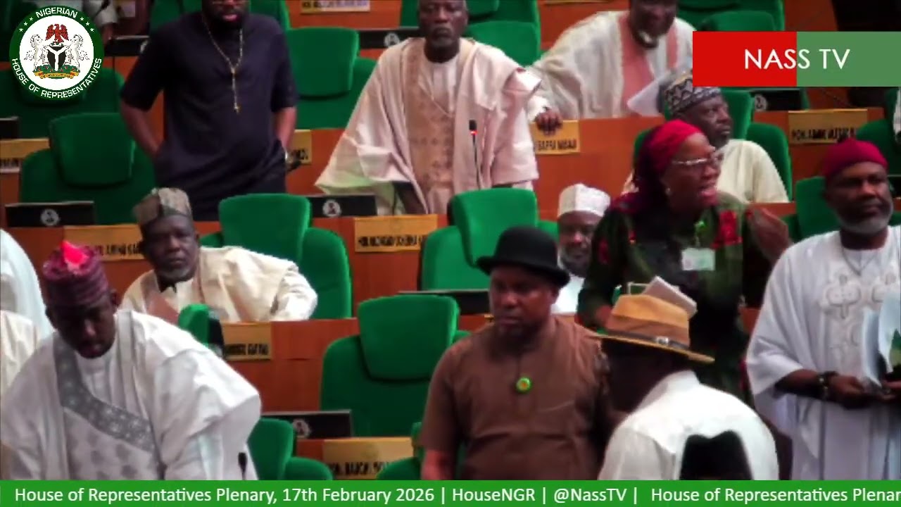Pandemonium in House of Representatives on Electoral Bill