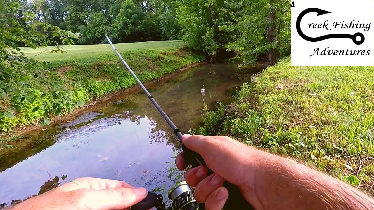 UP A CREEK - Fishing and Exploring my Favorite Creek
