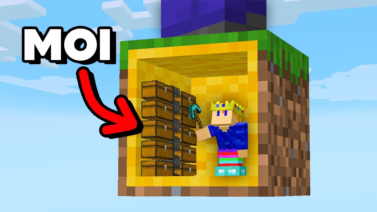 J'ai vécu dans les Blocs de son Skyblock jusqu'à ce qu'il Remarque…