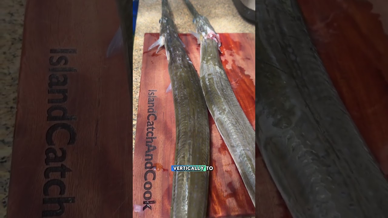 Ловля и оценка каждой рыбы на Гавайях, часть 50: Корнетфиш Нуну #catchandcook #spearfishing