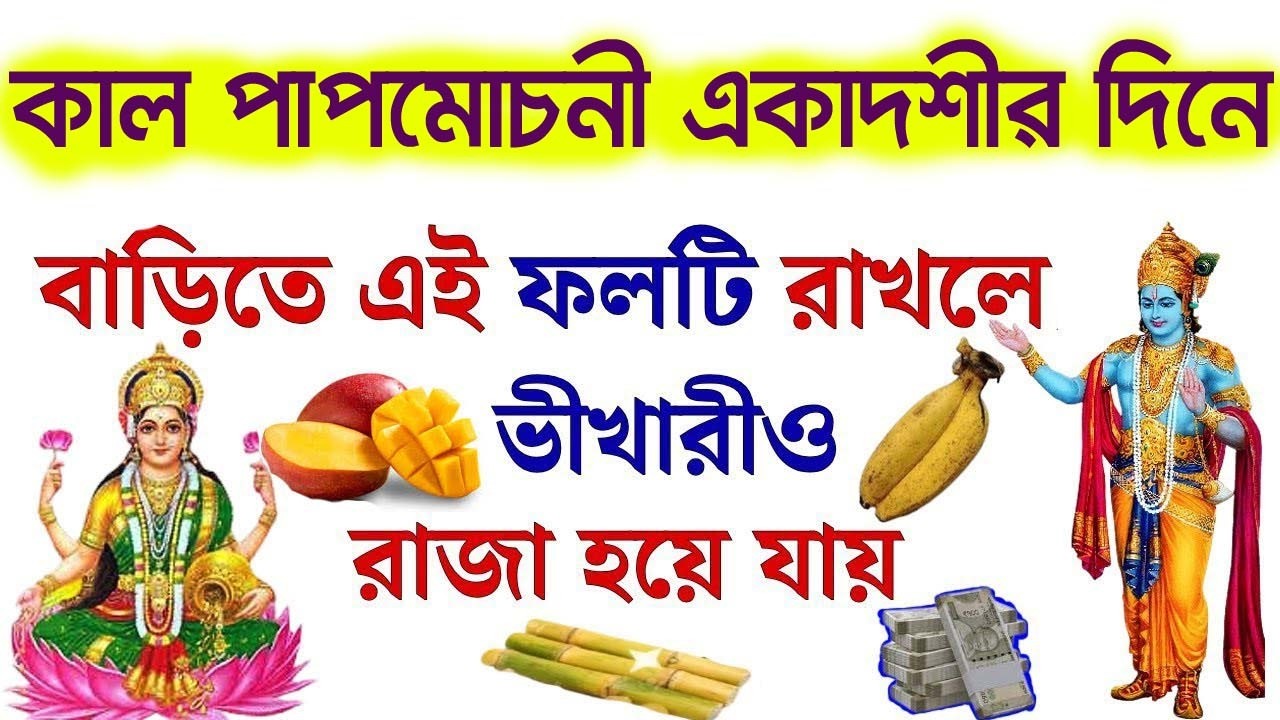 কাল পাপমোচনী একাদশীর দিন বাড়িতে আনুন এই একটি ফল।ভিখারিও রাজা হয়ে যায় ।