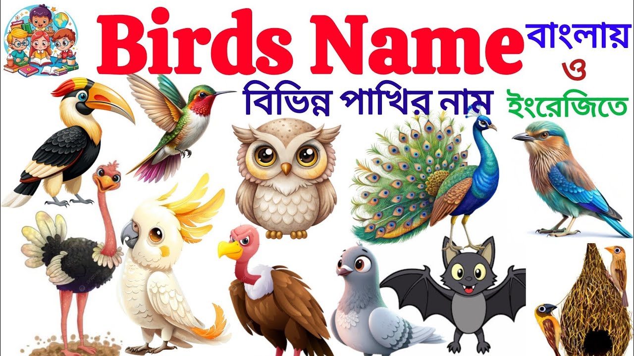 Birds Name | বিভিন্ন পাখির নাম | Birds Name IN Bengali To English | Birds Name For Kids| Birds Name 