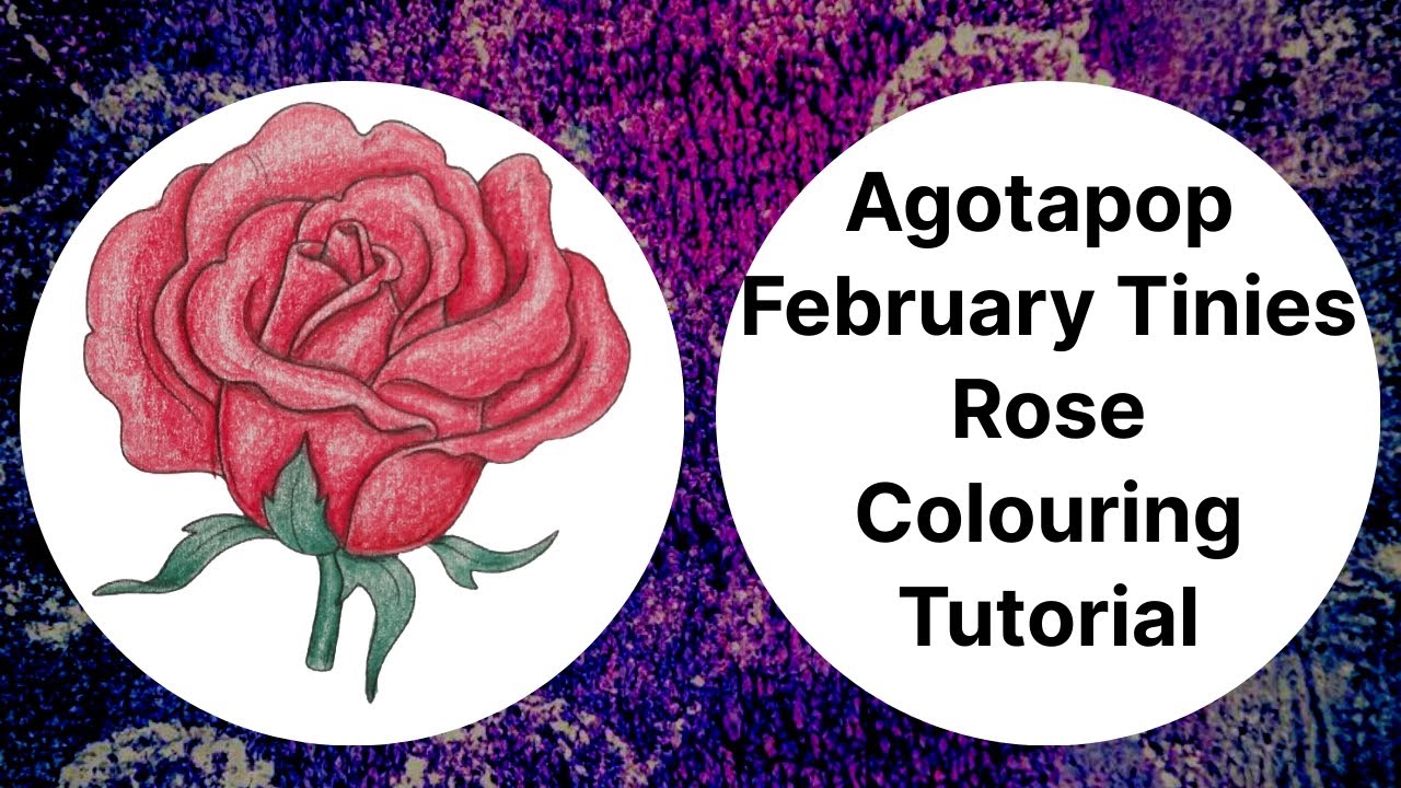 Agotapop February Tinies of Shelves Rose Colouring Tutorial