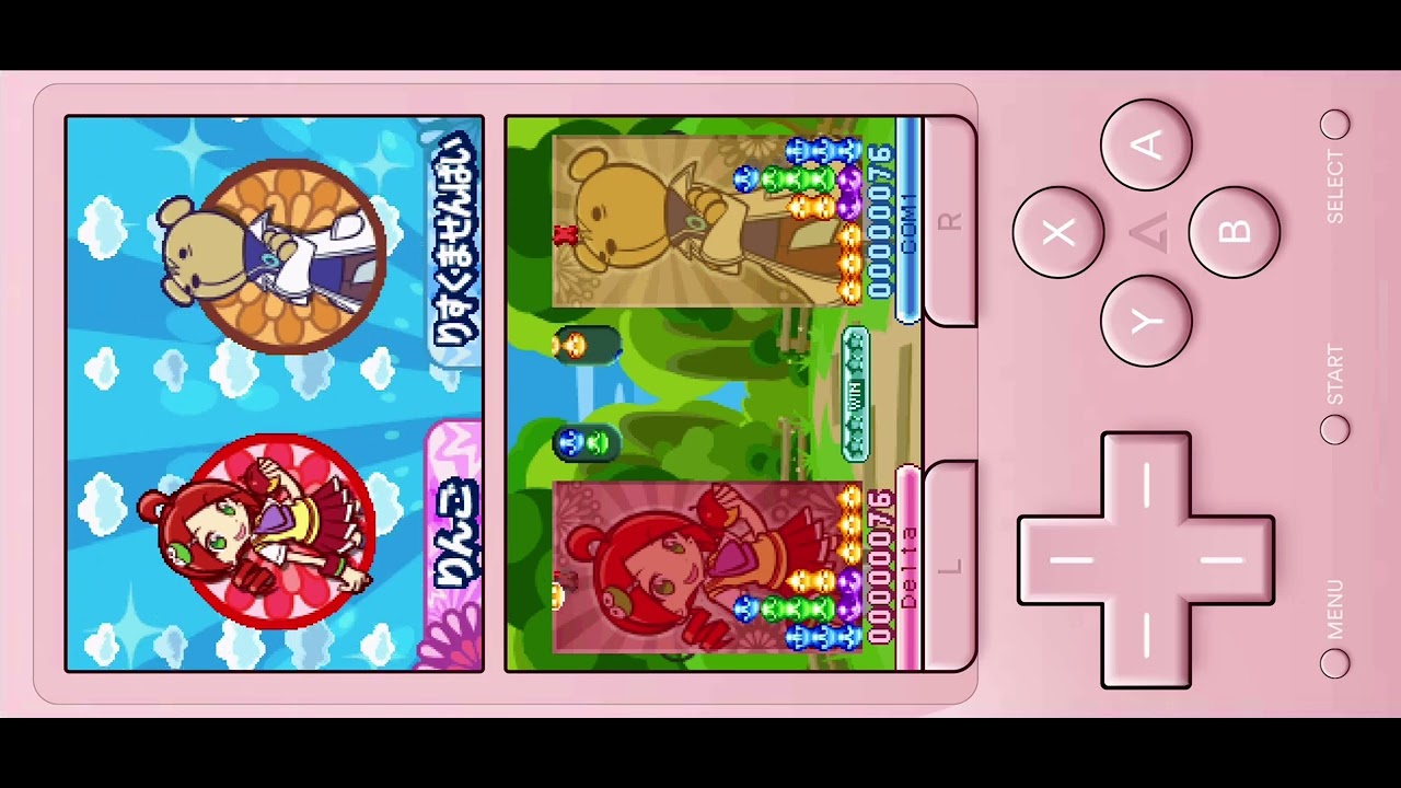Just Ringo mirroring Risukuma