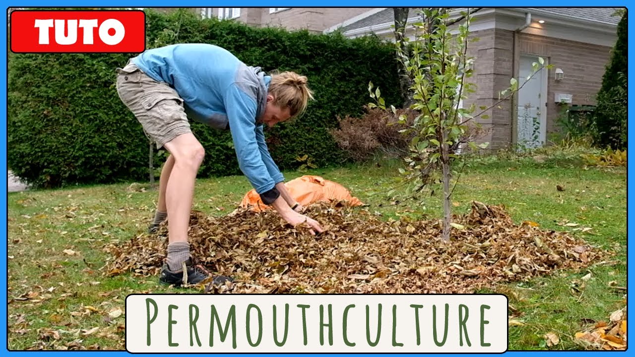 Démarrer en Permaculture #4 - Prépare ton sol
