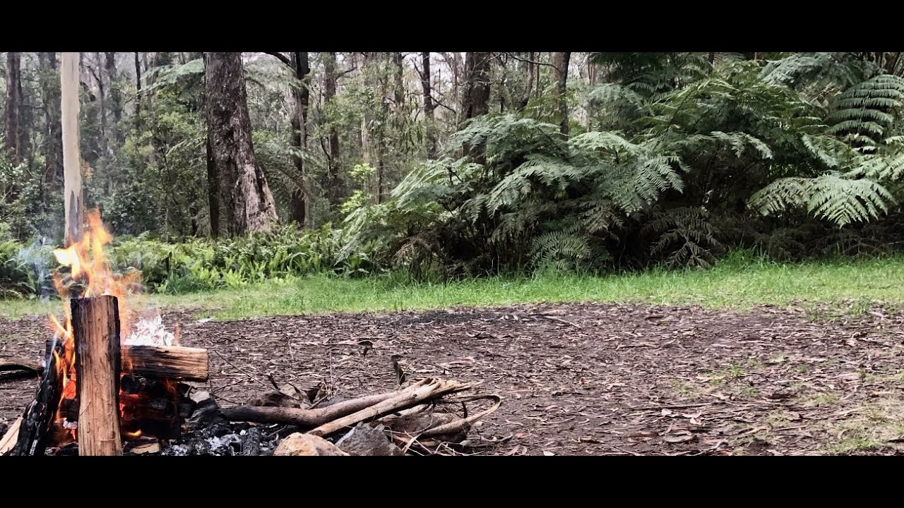 POV Solo Bush Camping with Dachshund - EP4