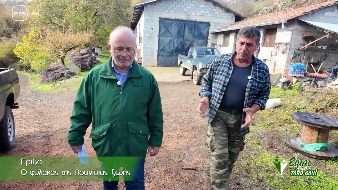 ΓΡΙΒΑ ΕΙΜΑΙ ΣΤΟΝ ΤΟΠΟ ΣΟΥ
