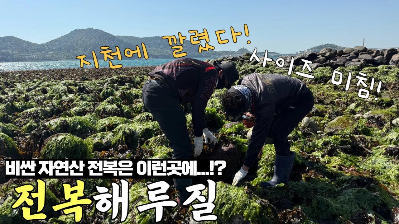 이곳은 정말 미끄럽지만 해산물 천국입니다!?자급자족 해루질!