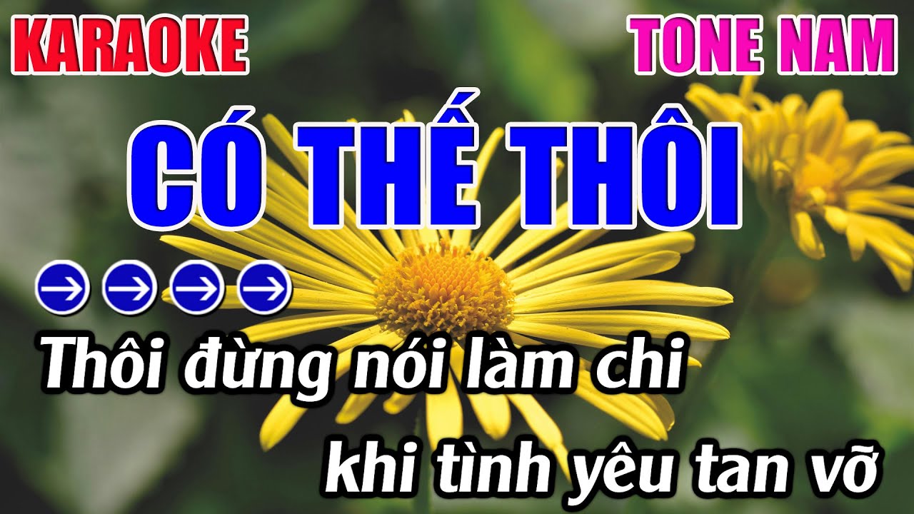 Có Thế Thôi Karaoke Tone Nam ( Am ) Karaoke 9999 - Beat Mới