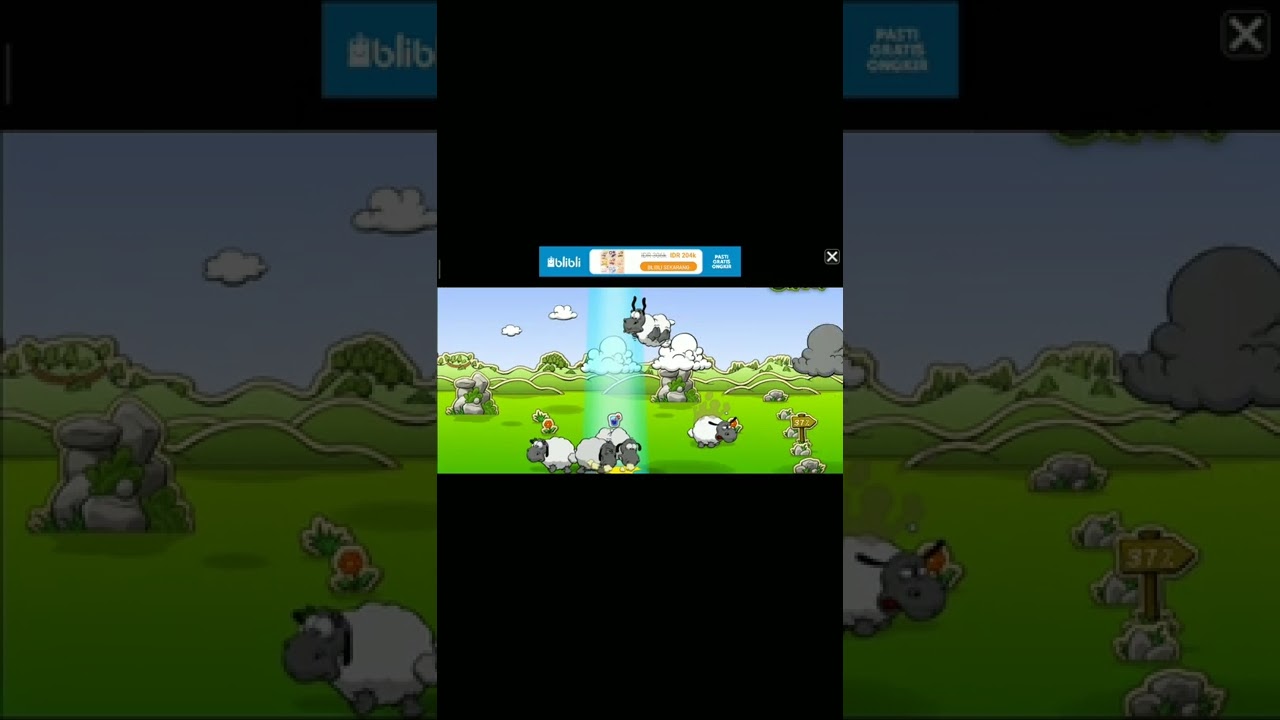 Clouds & Sheep