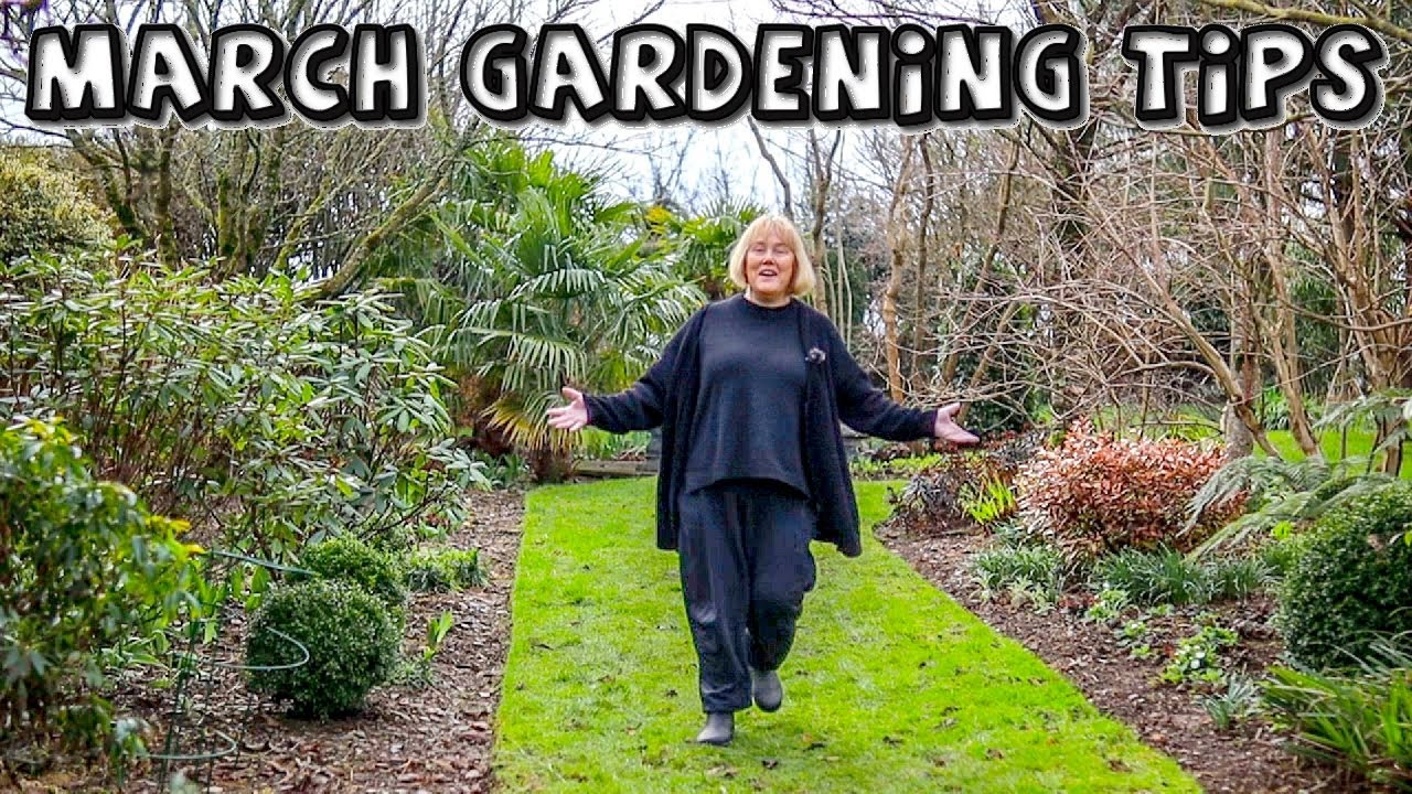 6 Gardening Tips for March