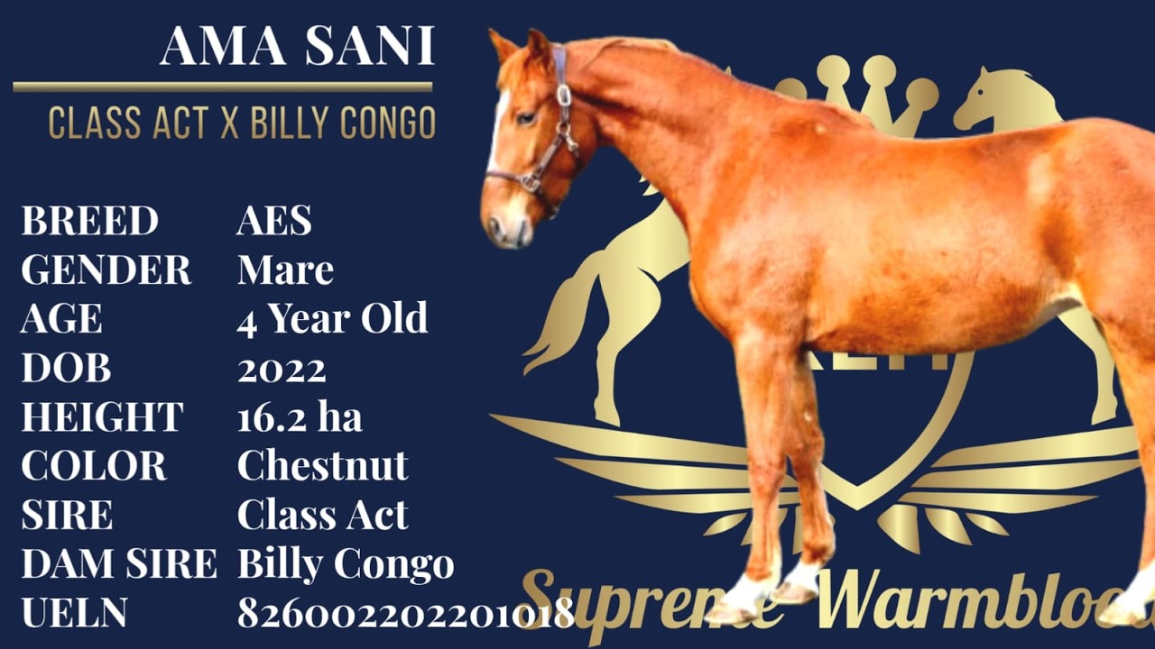 AMA SANI - Class Act X Billy Congo