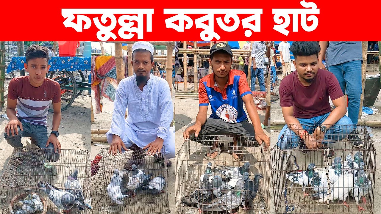 ফতুল্লা কবুতর হাট ২৭-৫-২০২৫ | today kobutor hat 2025 | pigeon market in bangladesh | fotulla kobutor