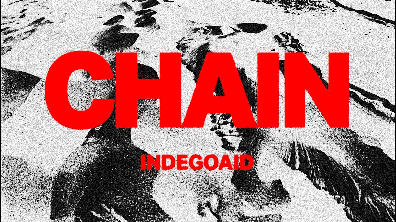 INDEGOAID - CHAIN(Visualizer)