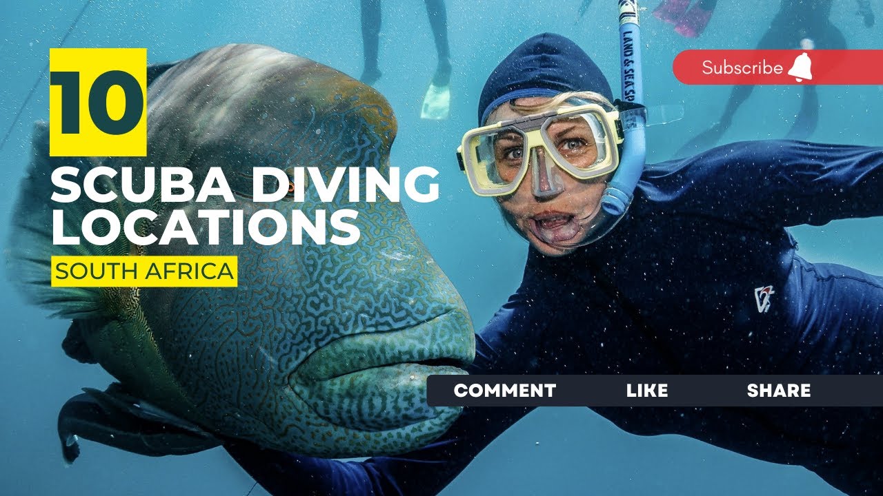 [2023] South Africa Dive Sites That Will Blow Your Mind: Top Scuba Diving Locations