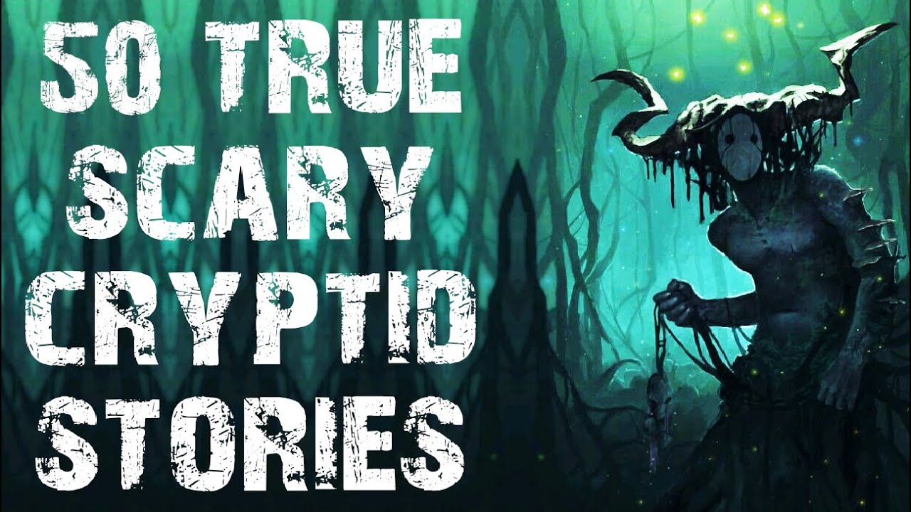 50 TRUE Disturbing Deep Woods & Cryptid Scary Stories In The Rain | Horror Stories To Fall Asleep To