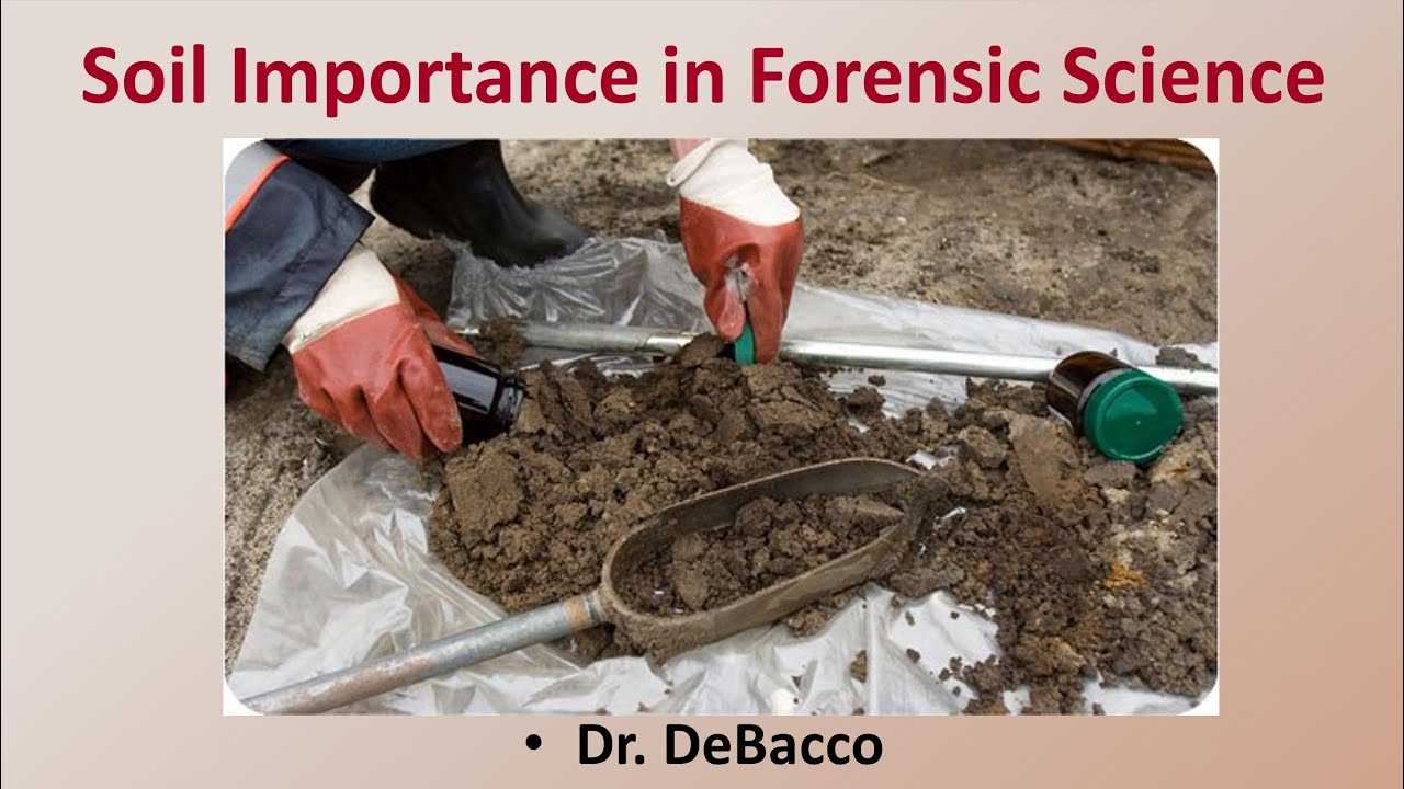 Значение почвы в судебной экспертизе