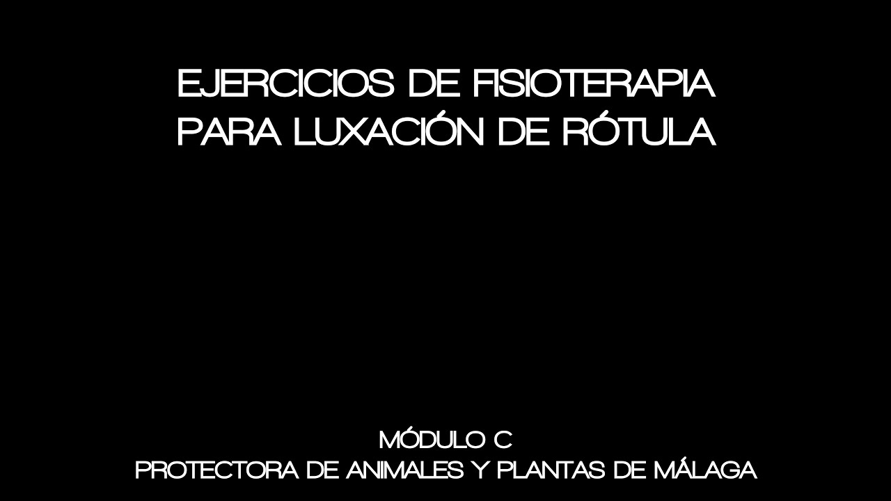 Ejercicios de rehabilitación para rodilla - Protectora de Animales Málaga