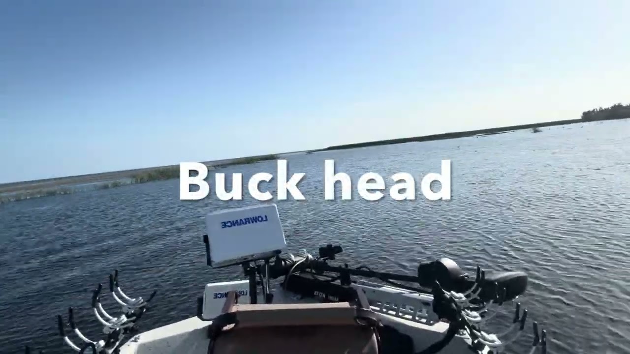 Checking out Lake Okeechobee after hurricane Milton From worm cove to Kissimmee River 🎣