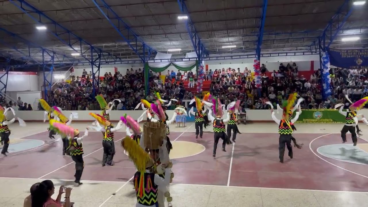 Canasteros de urpay - La libertad - Zootecnia - UNAS - Tingo María - 2023