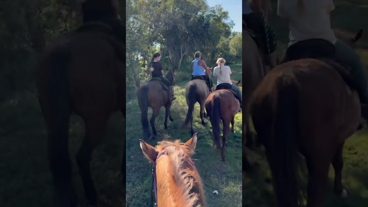 Core memories made 🤍 Horseback riding with my girl 🐎✨