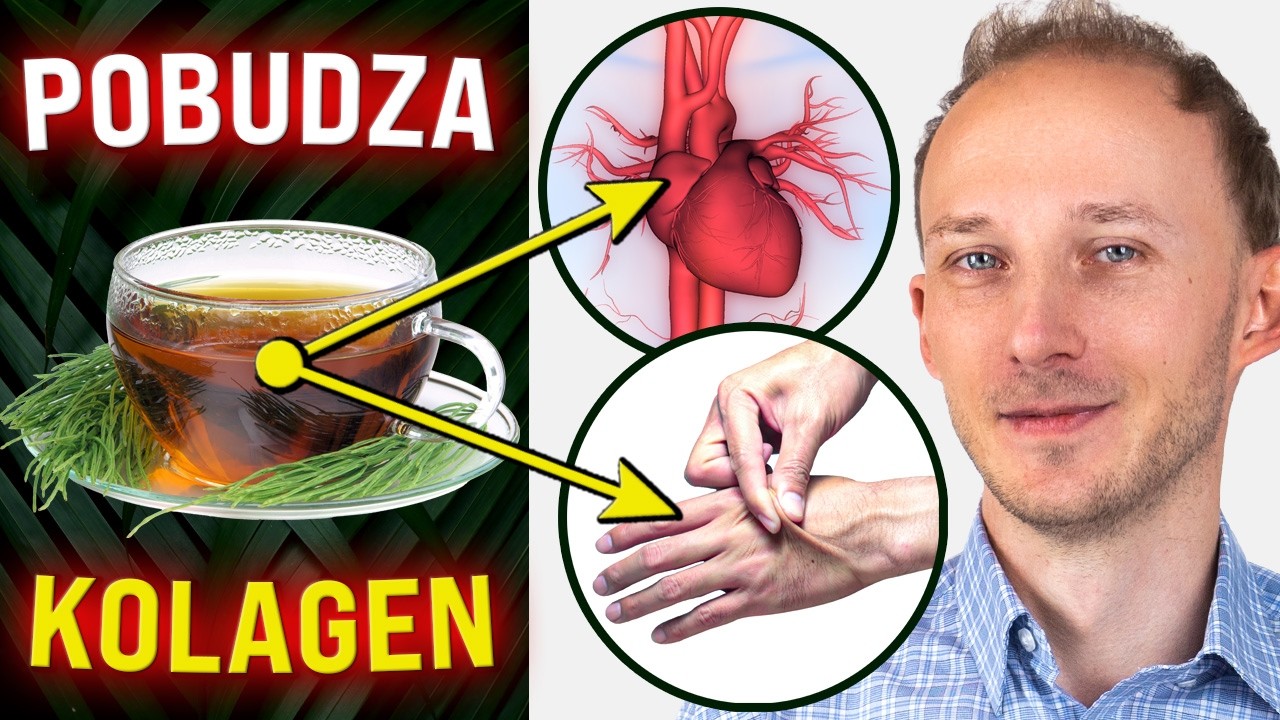 Pobudzi kolagen, wzmocni tętnice, łagodzi stan zapalny. Niedoceniony dla zdrowia skrzyp polny
