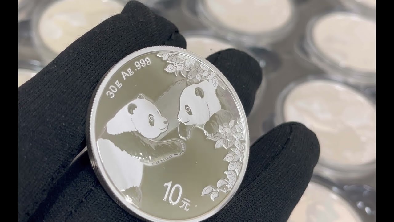 2023 30 gram Chinese Silver Panda 10 Yuan .999 Fine BU