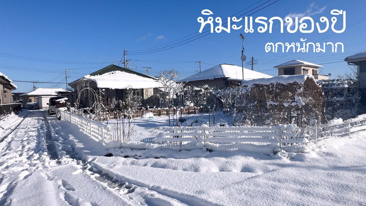 หิมะแรกของปีตกหนักมาก เก็บผักทำลาบไก่คั่ว 