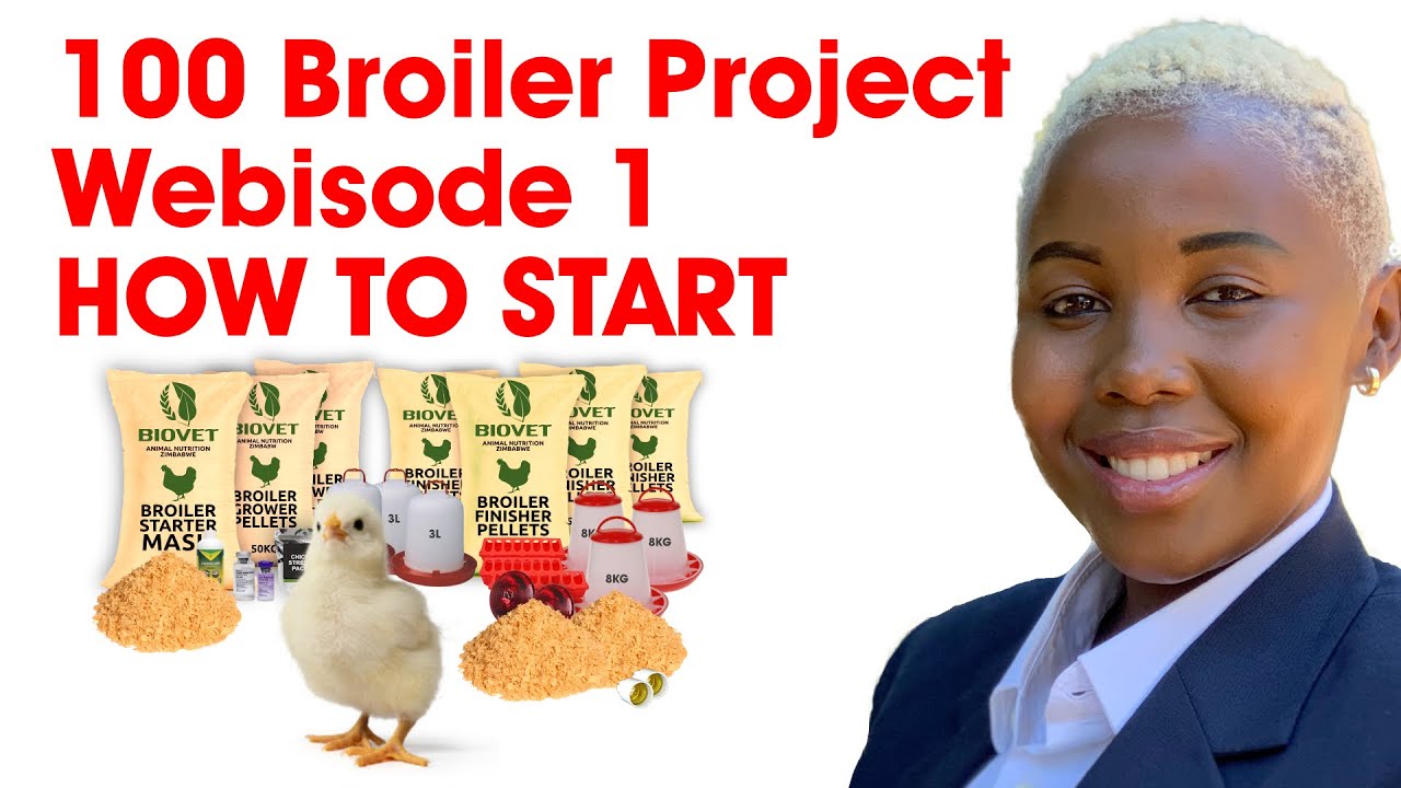 Ep 1 100 Broiler Project - Starting up