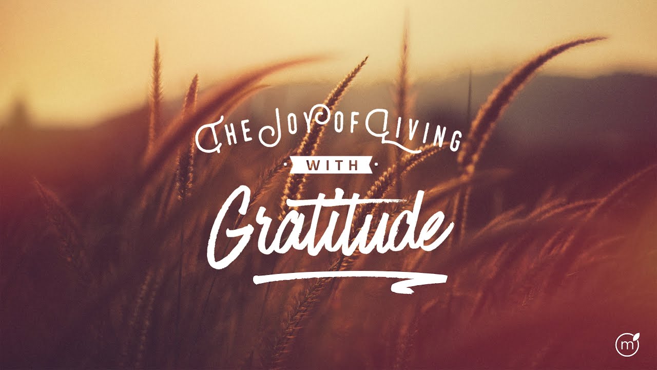 Daniel 6 - Jonah 2 - Acts 27 - Living With Gratitude