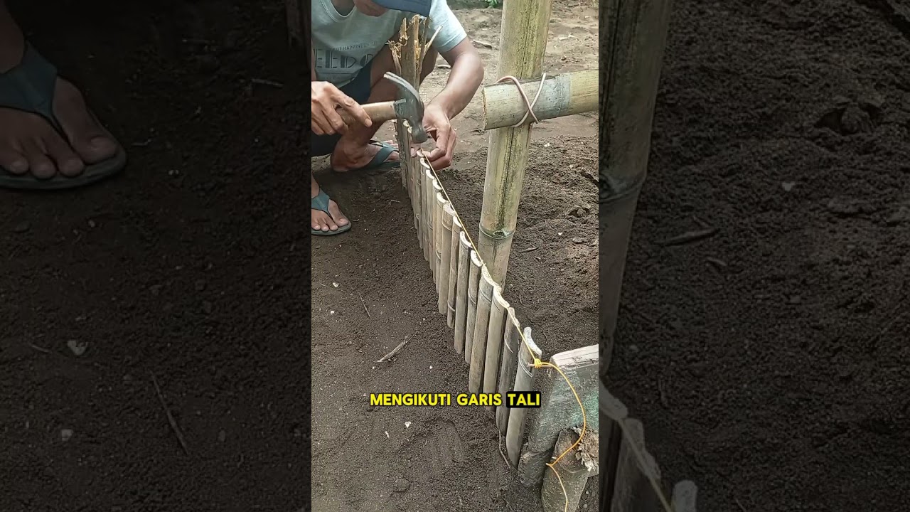 Raised bed dari Bambu #raisedbed #raisedbedbambu #kebunsederhana