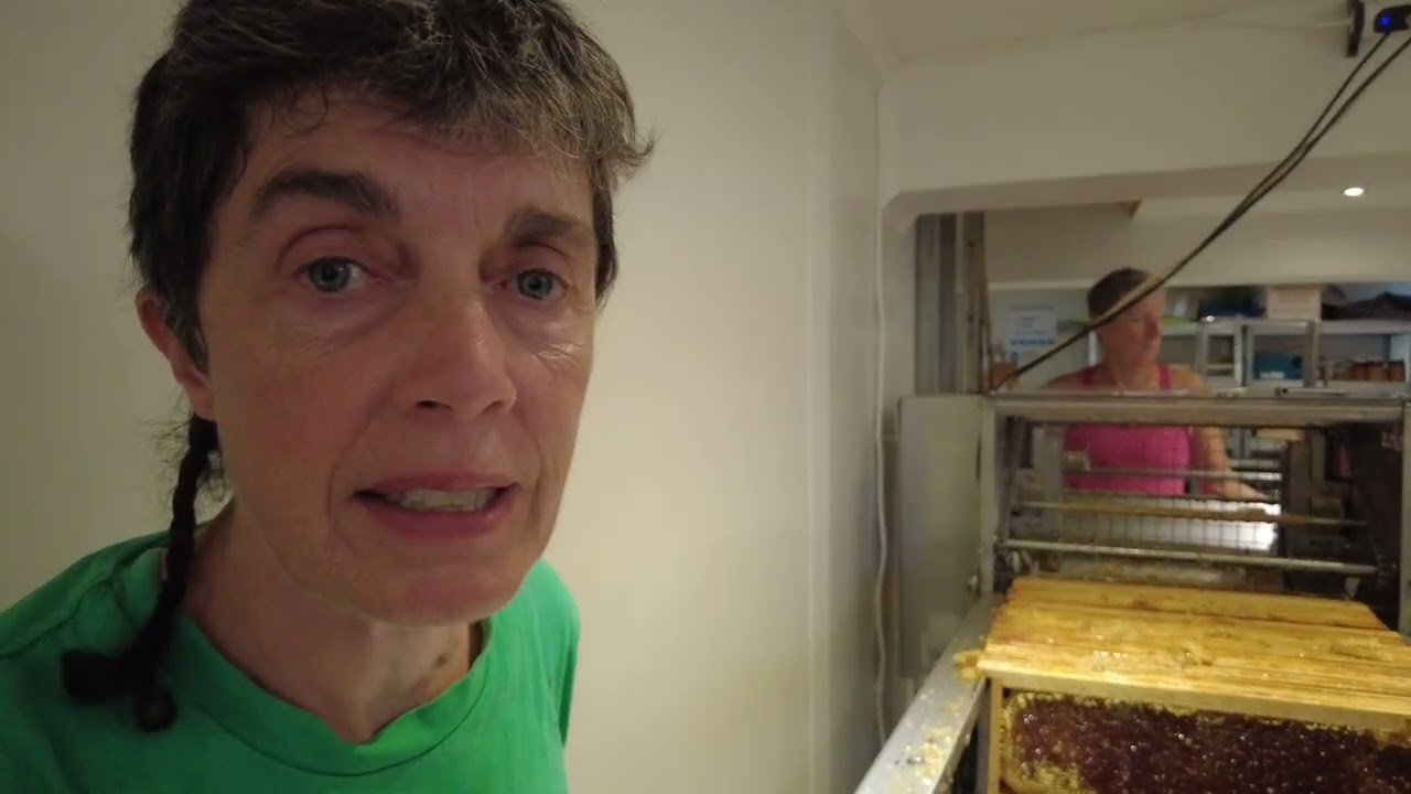 Ce qu'il faut faire en Juillet: Récolte, Encagement, Traitement Varroa, Changer les reines...