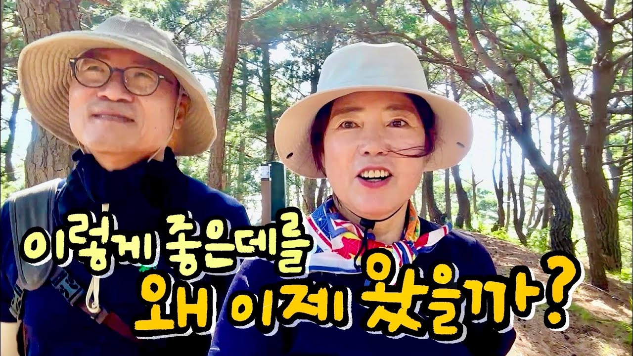 영덕일상 🌱 가족들과 여름휴가 | 블루로드 5,7코스 걸어보기 