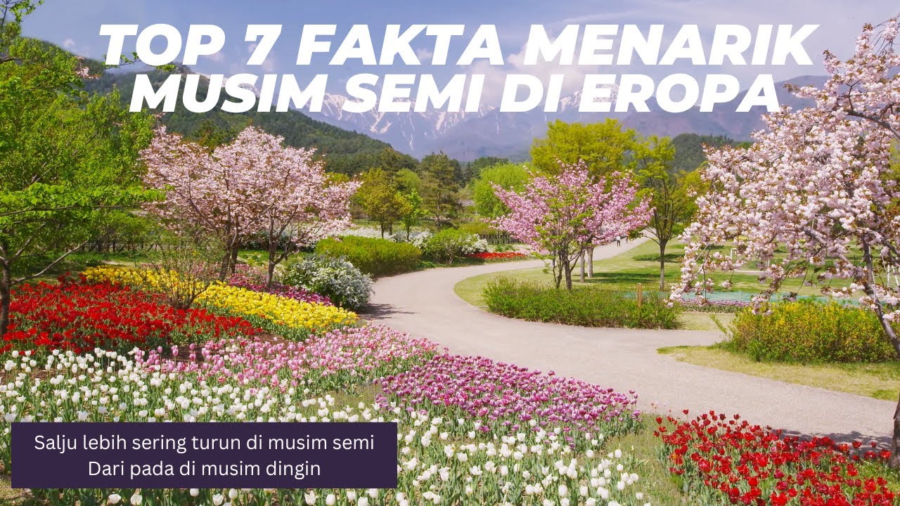TOP 7 FAKTA MENARIK MUSIM SEMI DI EROPA, LEBIH SERING SALJU DI MUSIM SEMI DARI PADA DI MUSIM DINGIN