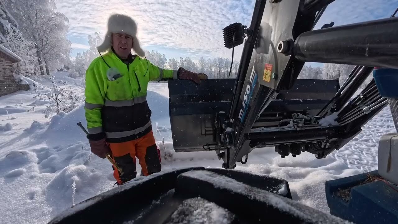 Historiallinen kolikkoaarre ropisi pitkin metsiä!