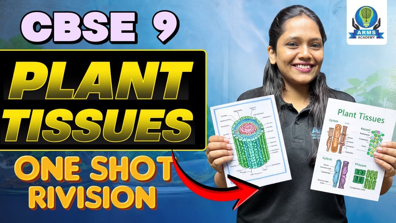 Plant Tissues Explained | Meristematic & Permanent | 