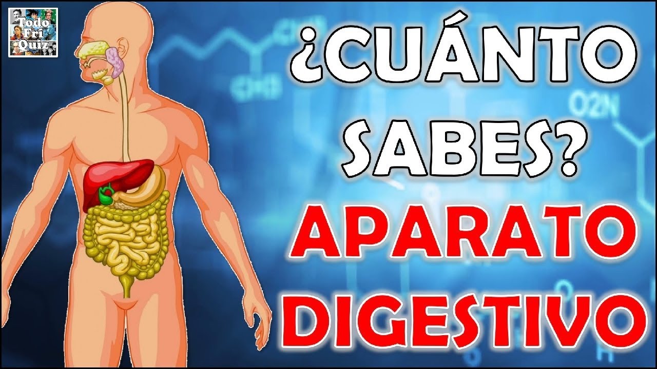 ¿Cuánto Sabes Sobre el 