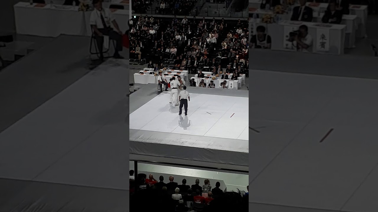 THE 12TH WORLD OPEN KARATE KYOKUSHIN CHAMPIONSHIP 2019 PARTE 3