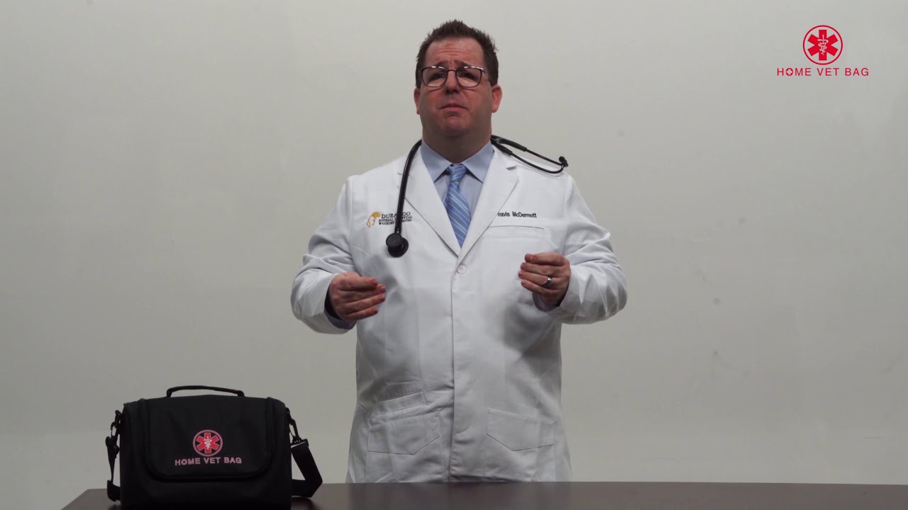 Pet Emergency Tips: Vomiting