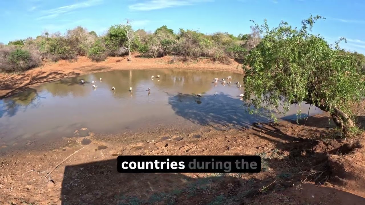 YALA NATIONAL PARK