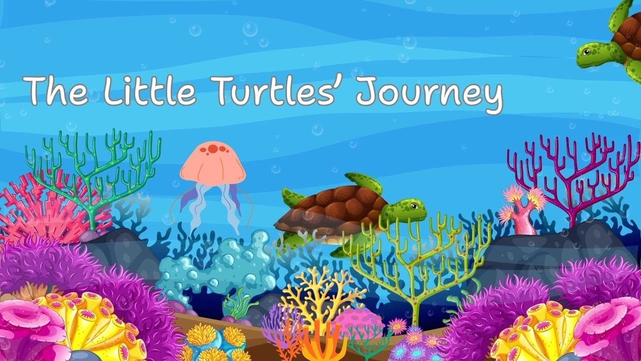 MW Sensory & Story - Lyrical Lullaby 27 - The Little Turtles' Journey