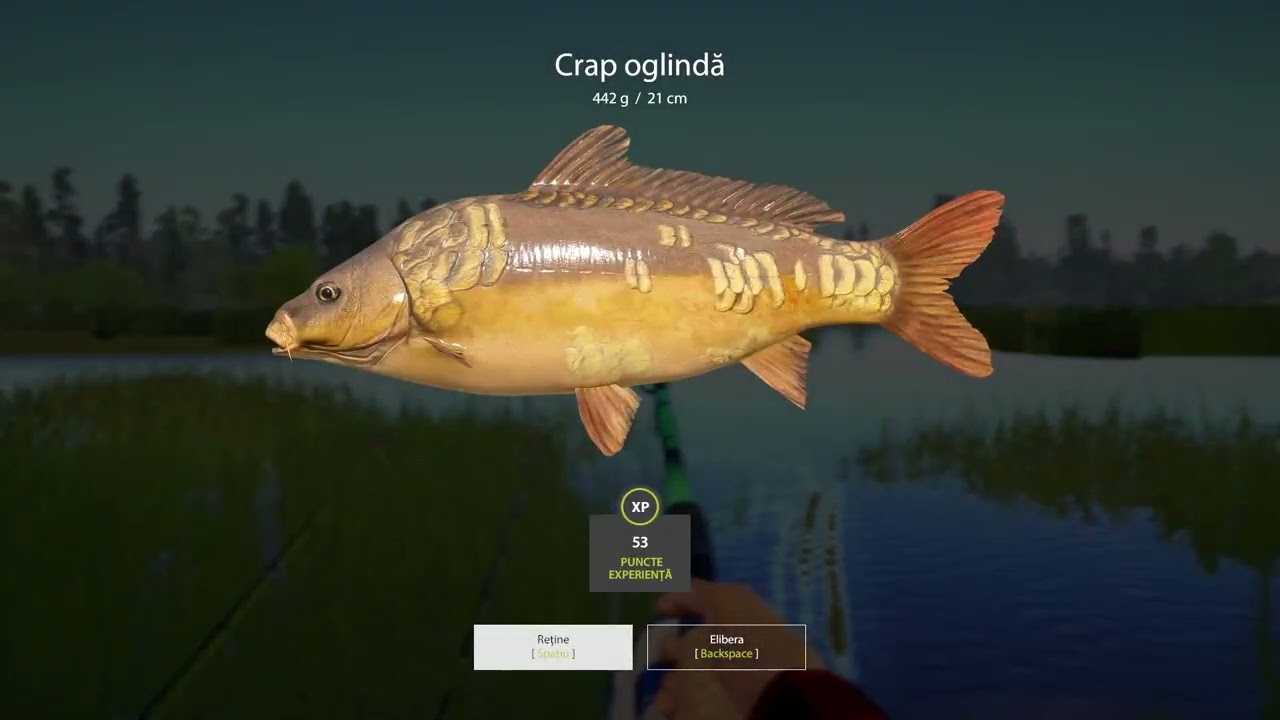Russian fishing 4- Spot active / Bear lake