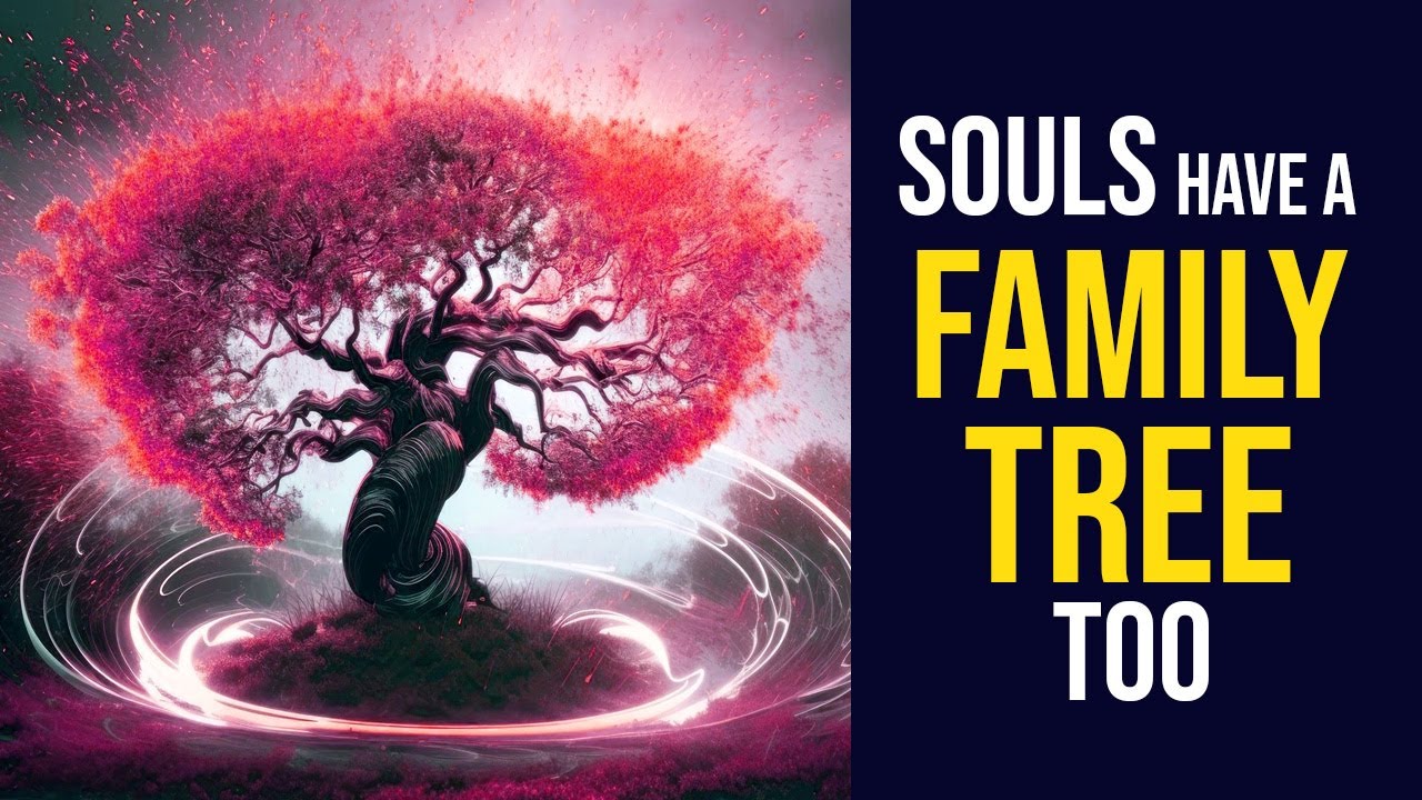 Откройте для себя генеалогическое древо души. Как на самом деле работают группы и семьи душ