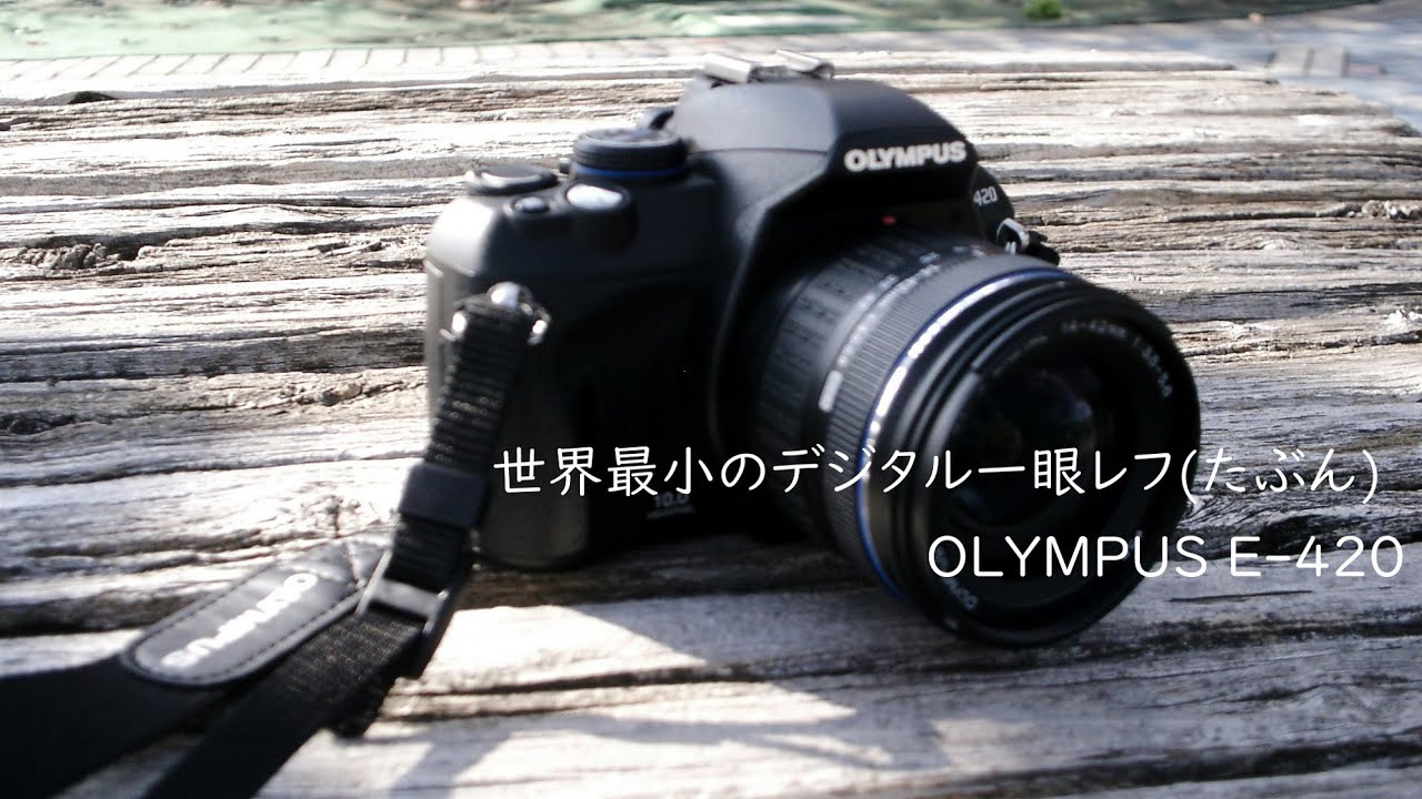 ちっちゃくて押しの弱いカメラ【OLYMPUS E-420】