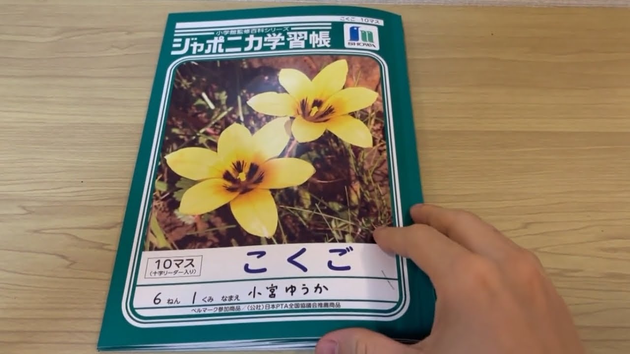 『存在しない小学生の自由研究』を作りました